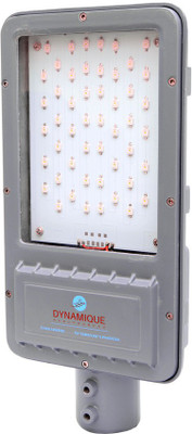 

Dynamique Flood Light Outdoor Lamp