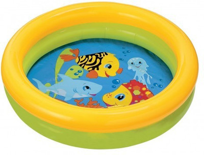 

Intex The Wet Set(Multicolor)