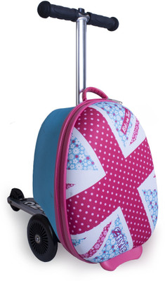 

Zinc Daisy(Pink)