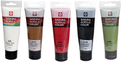 

Sakura Acrylic Color Tube(Set of 1, Multicolor)