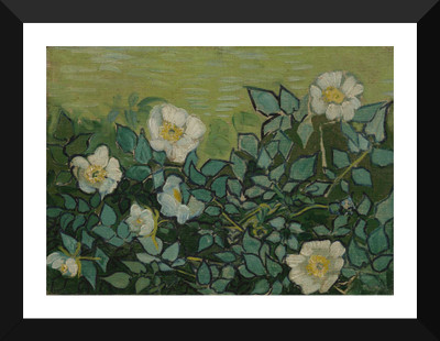 

Tallenge - Van Gogh - Wild Roses - Framed A3 Size Poster Paper Print(17 inch X 12 inch, Framed)