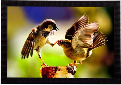 eCraftIndia Playing Birds Satin Matt Textured UV Art Canvas 10 inch x 14 inch Painting(With Frame)