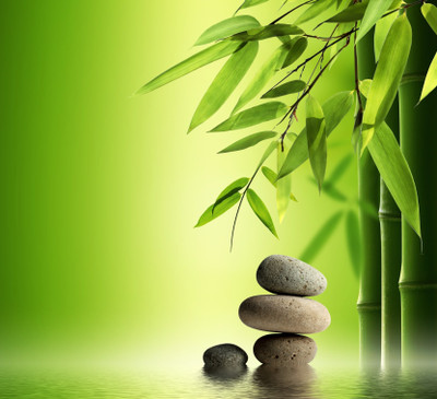 

Feng Shui Bamboo Art Canvas Art(12 inch X 12 inch)