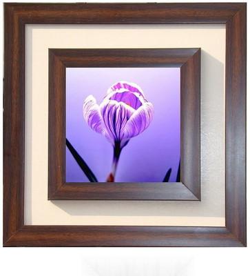 

Lila Painting DVL- M-1076 With Wooden Frame Canvas Art(15 inch X 15 inch)
