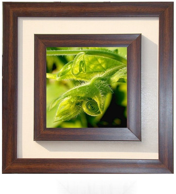 

Lila Painting DVL- M-1023 With Wooden Frame Canvas Art(15 inch X 15 inch)