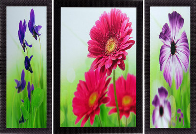 eCraftIndia Set Of 3 Colorful Botanical Floral Satin Matt Textured UV Canvas 14 inch x 24 inch Painting(With Frame, Pack of 3)