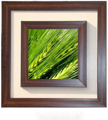 

Lila Painting DVL- S-1031 With Wooden Frame Canvas Art(12 inch X 12 inch)