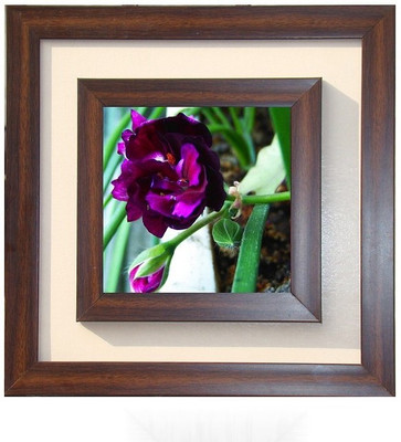 

Lila Painting DVL- S- 767 With Wooden Frame Canvas Art(12 inch X 12 inch)