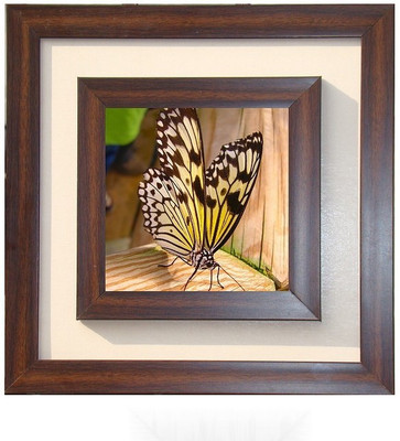 

Lila Painting DVL- M-1058 With Wooden Frame Canvas Art(15 inch X 15 inch)