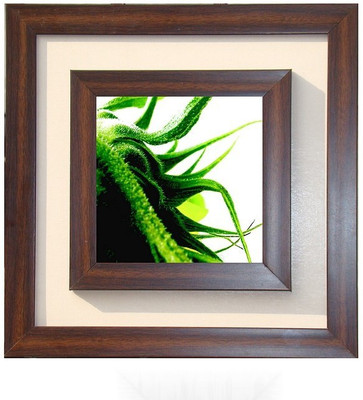 

Lila Painting DVL- M-1015 With Wooden Frame Canvas Art(15 inch X 15 inch)
