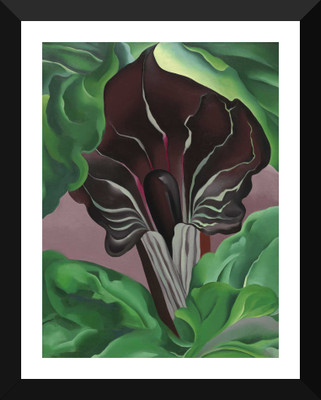 

Tallenge - Georgia O'Keeffe - Jack In Pulpit No. 2 - Framed A3 Size Poster Paper Print(17 inch X 12 inch, Framed)