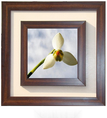 

Lila Painting DVL- L- 737 With Wooden Frame Canvas Art(18 inch X 18 inch)