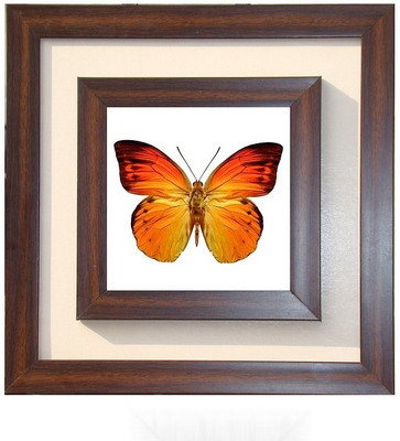 

Lila Painting DVL- L-1005 With Wooden Frame Canvas Art(18 inch X 18 inch)