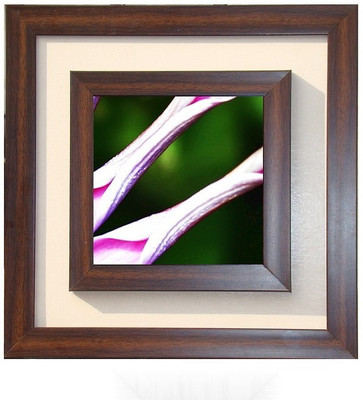 

Lila Painting DVL- M-1150 With Wooden Frame Canvas Art(15 inch X 15 inch)
