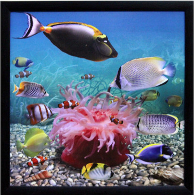 

3D Sea Life view Fine Art Print(11 inch X 11 inch, Framed)