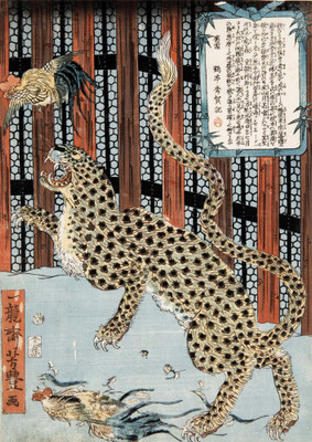 

Tallenge Japanese Art - Yoshitoyo Ichiryusai - Leopard - Medium Size Unframed Digital Art Print On Photographic Paper(18 inch X 13 inch, Rolled)