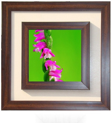 Lila Painting DVL- S- 755 With Wooden Frame Canvas Art(12 inch X 12 inch)