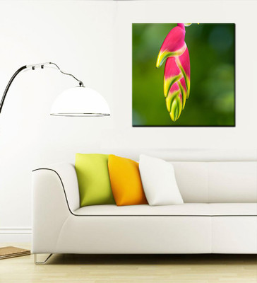 

Tallenge Christmas Collection - Christmas Coloured Heliconia - Gallery Wrap Canvas Art(15 inch X 15 inch, Stretched)