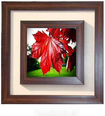 

Lila Painting DVL- S- 404 With Wooden Frame Canvas Art(12 inch X 12 inch)