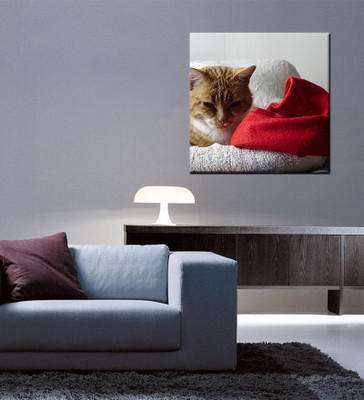 

Tallenge Christmas Collection - Grumpy Cat On Couch - Gallery Wrap Canvas Art(15 inch X 15 inch, Stretched)