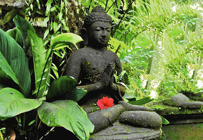 

Tallenge - Meditating Buddha With Red Hibiscus - Unframed Rolled A3 Size Poster Paper Print(16.5 inch X 11.6 inch, Rolled)