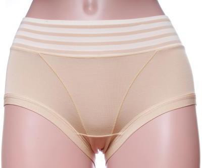 

Feminin Women's Hipster Beige Panty(Pack of 1, Cream
