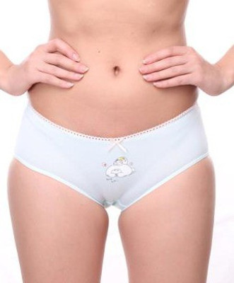 Feminin Women's Hipster Blue Panty(Pack of 1