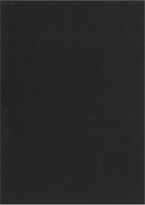 Fabriano Elle Erre (Pack of 6) A4 220 gsm Drawing Paper(Nero)