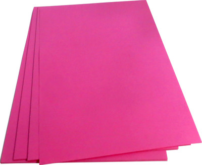 

FUN + LEARN Color paper Unruled A4 Coloured Paper(Set of 1, Pink)