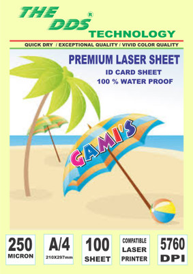 DDS Laser Taslin A/4 250 gsm Printer Paper(Set of 1, White)