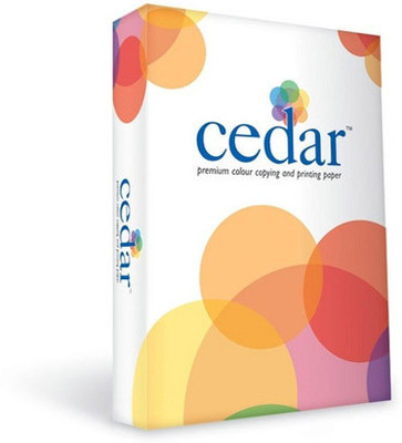 

JK Cedar Unruled A4 Printer Paper(Set of 1, White)