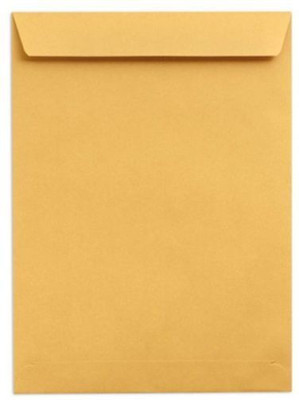 

ESI Laminated(Size 9" x 4") 22.8cmx10.1cm (pack of 50 envelopes) Unruled 9X4 Envelope Paper(Set of 1, Yellow)