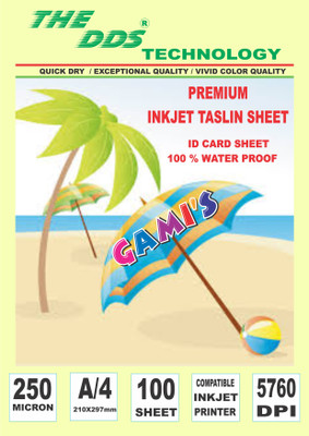 DDS Inkjet Taslin A4 250 gsm A4 paper(Set of 1, White)