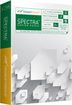 

Spectra Copier Unruled A4 Printer Paper(Set of 1, White)