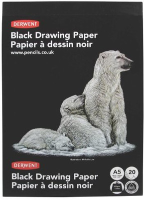 

ACCO Brands Unruled A5 Coloured Paper(Set of 1, Black)