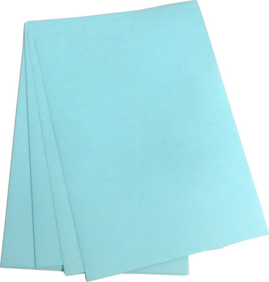 

FUN + LEARN Color paper Unruled A4 Coloured Paper(Set of 1, Green)