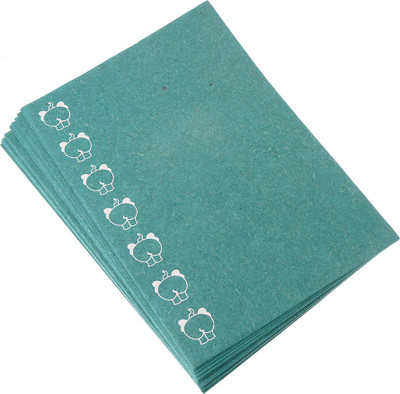 

Haathi Chaap Impress Unruled A4 A4 paper(Set of 20, Turquiose)