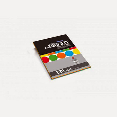 

Campap Bright Unruled A4 Multipurpose Paper(Set of 2, Assorted)