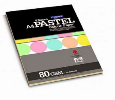 Campap Pastel Unruled A4 Multipurpose Paper(Set of 2, Multicolor)