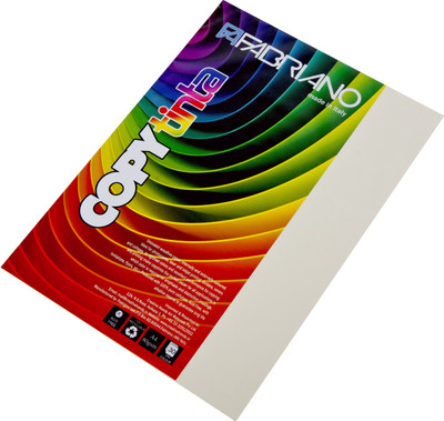 Fabriano Copytinta A4 80 gsm Multipurpose Paper(Set of 2, Grigio) Fabriano Copytinta A4 80 gsm Multipurpose Paper(Set of 2, Grigio)