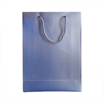 

Paper Bag Zone Solid Party Bag(Silver, Pack of 10)