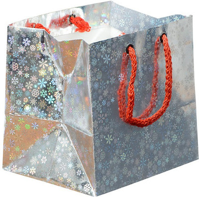 

Bdpp Paper Processers Silver Mettalic Printed Party Bag(Silver, Pack of 10)