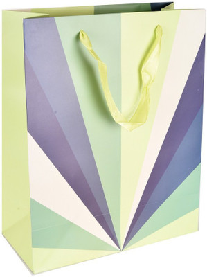 

Enwraps Printed Party Bag(Multicolor, Pack of 4)