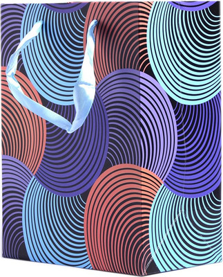 

Enwraps Printed Party Bag(Multicolor, Pack of 4)
