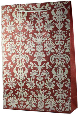 

SRIJIN Printed Party Bag(Red, Pack of 5)