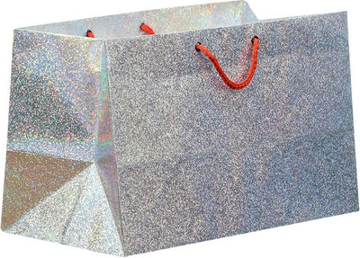 

Bdpp Paper Processers Silver Mettalic Printed Party Bag(Silver, Pack of 10)