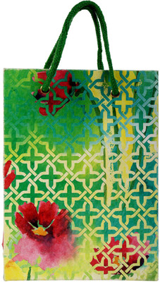 

Rajrang Printed Party Bag(Green, Pack of 1)