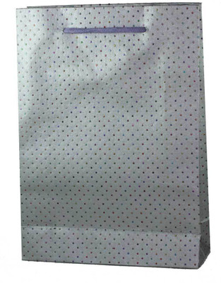 

SRIJIN Printed Party Bag(Silver, Pack of 5)