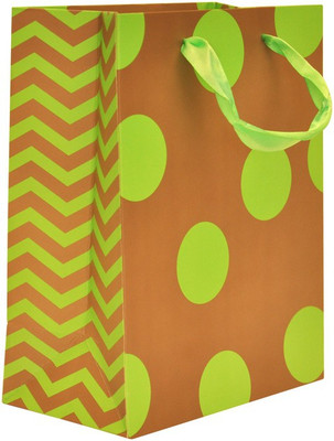 

Enwraps Printed Party Bag(Green, Pack of 4)