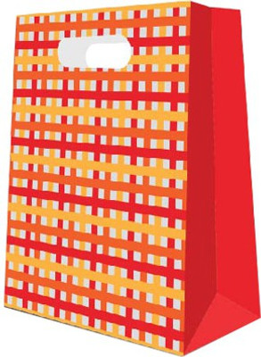 

Sixteen Shades Printed Party Bag(Multicolor, Pack of 5)